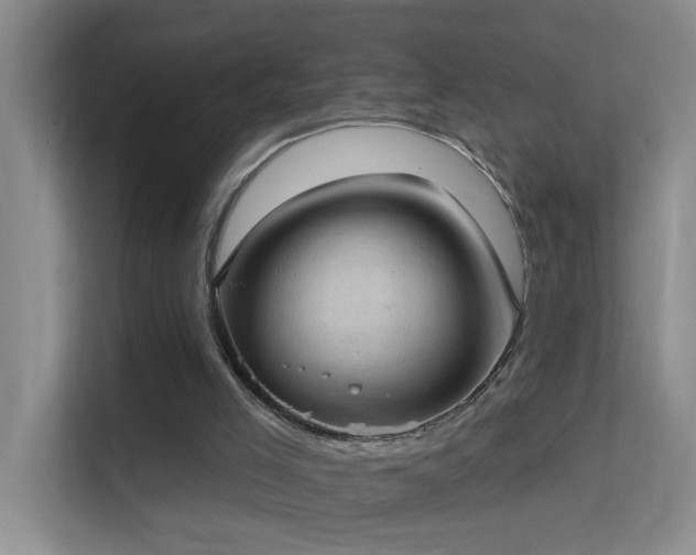 X0000113630005200909251230