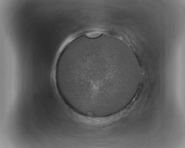 X0000113630006200909251230