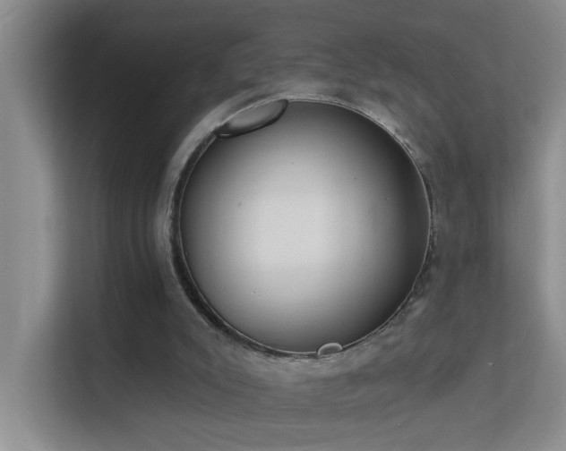 X0000113630007200909251230