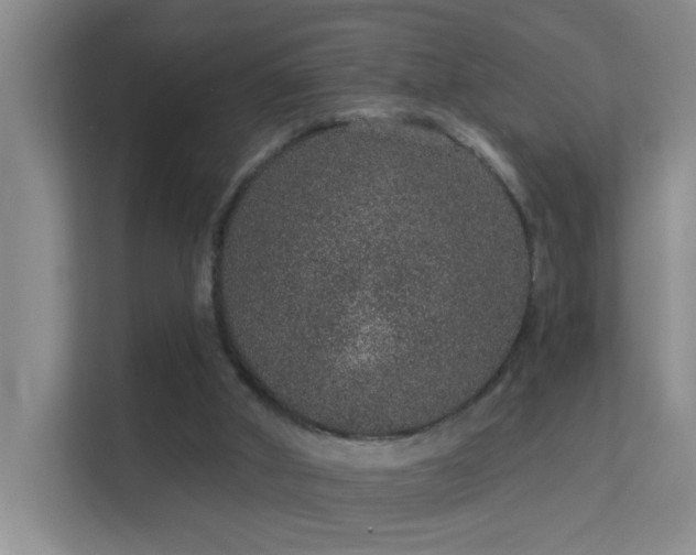 X0000113630010200909251230