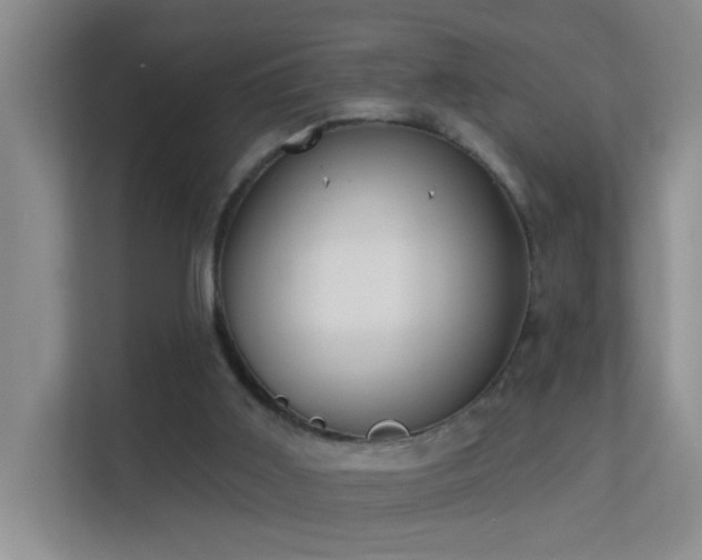 X0000113630011200909251230