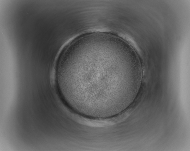 X0000113630012200909251230