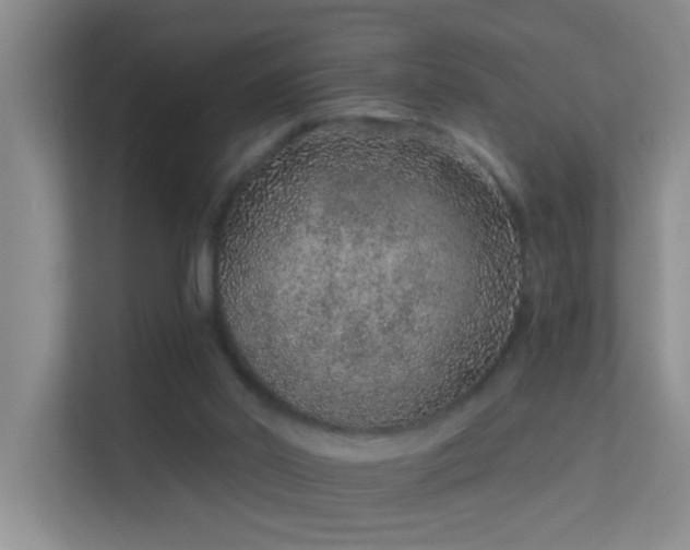 X0000113630014200909251230