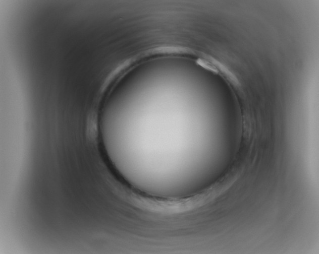 X0000113630015200909251230