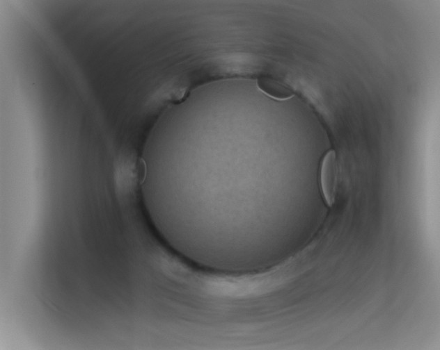 X0000113630017200909251230