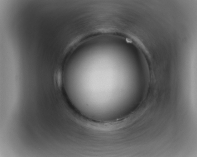 X0000113630019200909251230