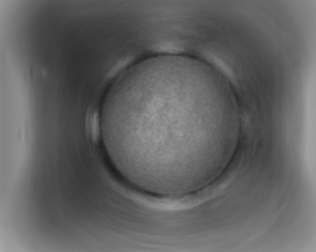 X0000113630020200909251230