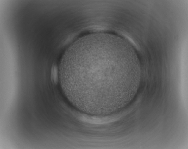 X0000113630022200909251229