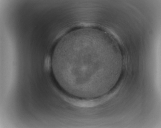X0000113630024200909251229