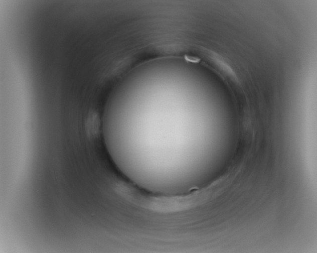 X0000113630025200909251229