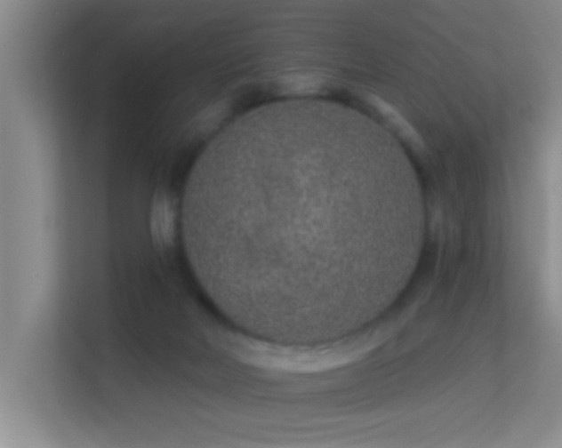 X0000113630026200909251229