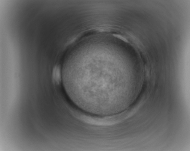 X0000113630028200909251229
