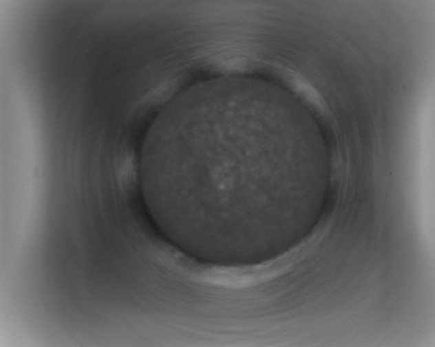 X0000113630029200909251229
