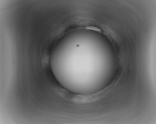 X0000113630033200909251229