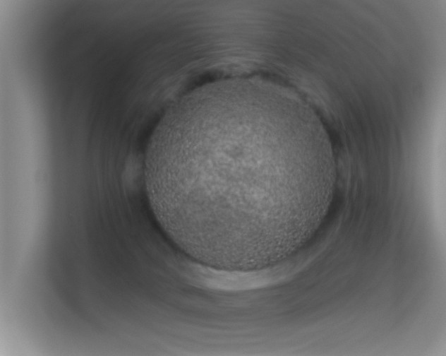 X0000113630034200909251229