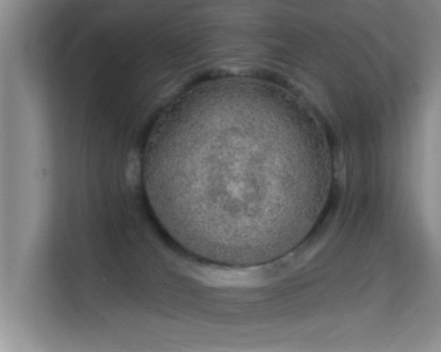 X0000113630036200909251229