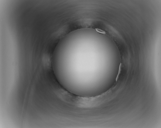 X0000113630037200909251229