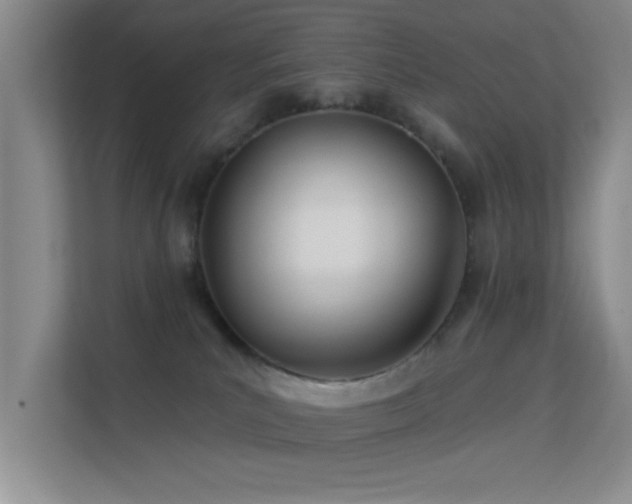 X0000113630039200909251229