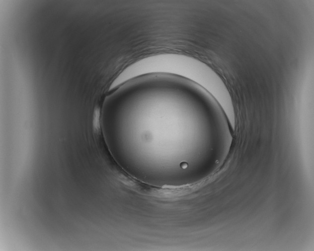 X0000113630041200909251229