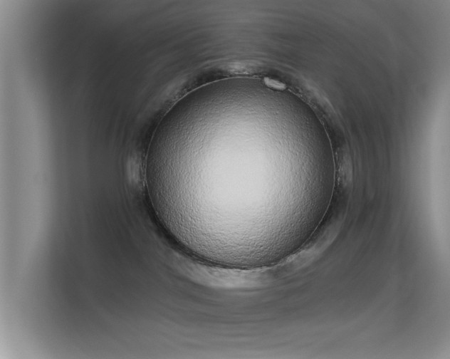 X0000113630044200909251229