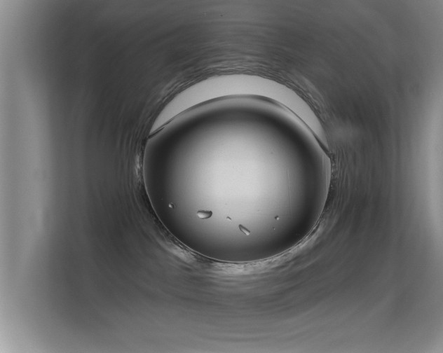 X0000113630045200909251229