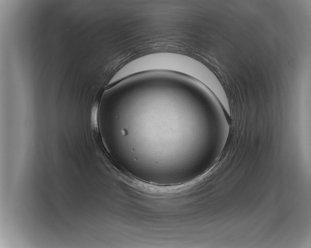 X0000113630047200909251229