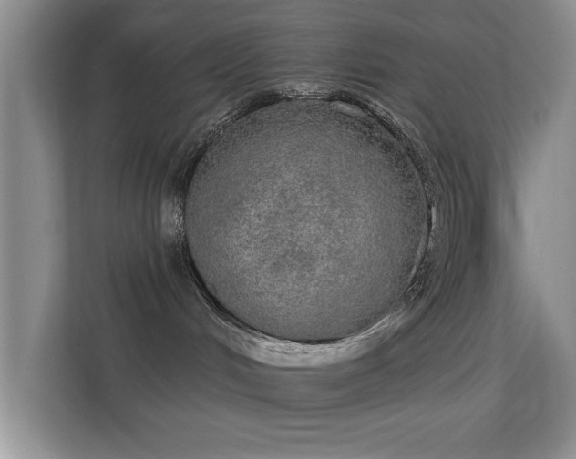 X0000113630048200909251229