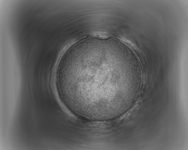 X0000113630049200909251229
