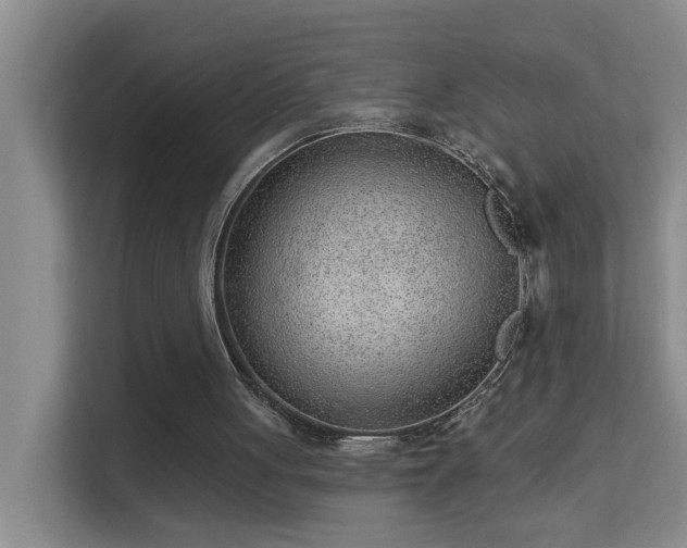 X0000113630051200909251229