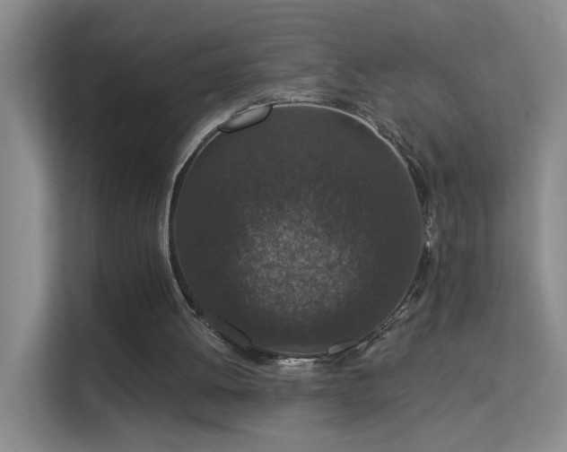 X0000113630052200909251229