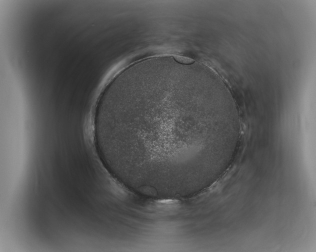 X0000113630053200909251229