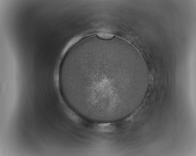 X0000113630054200909251229