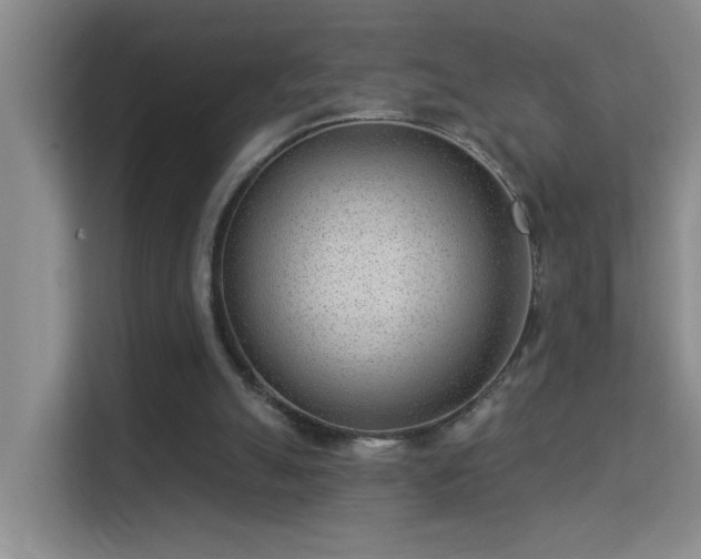 X0000113630055200909251229