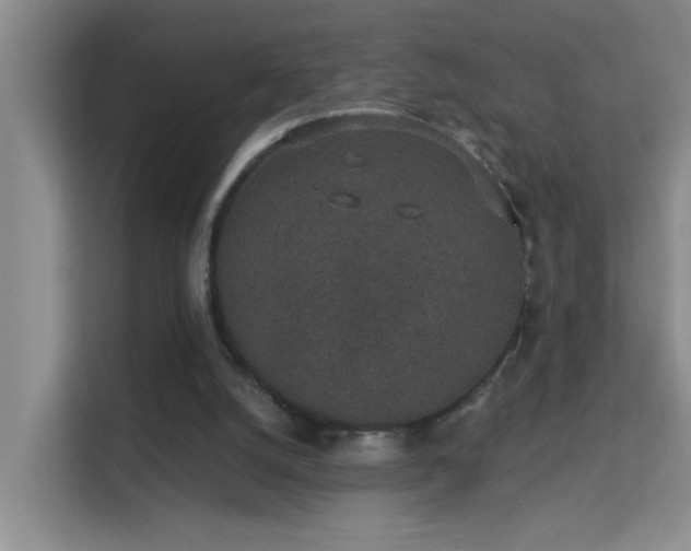 X0000113630056200909251229