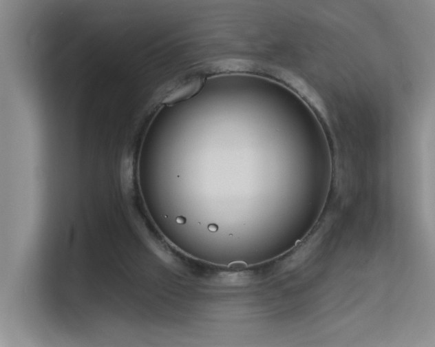 X0000113630057200909251229