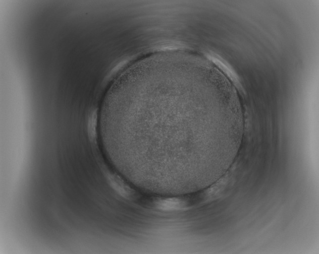 X0000113630058200909251229