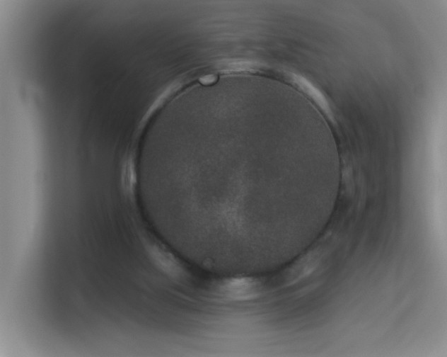 X0000113630059200909251229