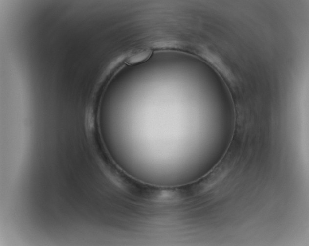 X0000113630060200909251229
