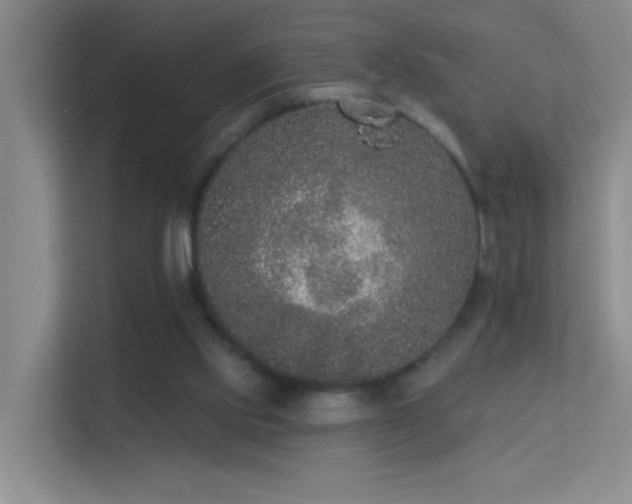 X0000113630061200909251229