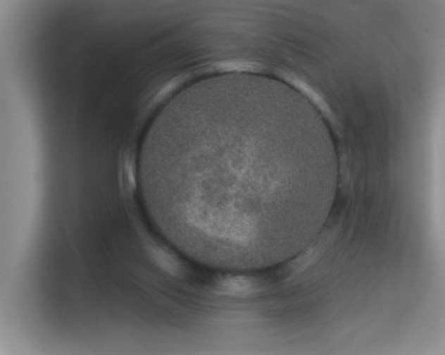 X0000113630062200909251229