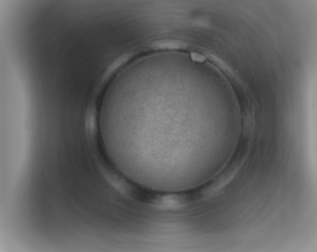 X0000113630064200909251229