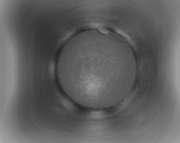 X0000113630066200909251229