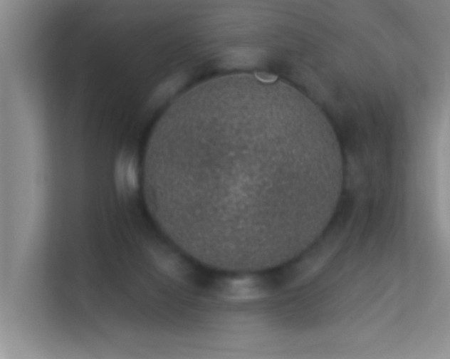 X0000113630068200909251229