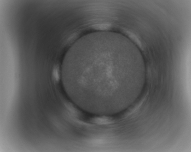 X0000113630069200909251229