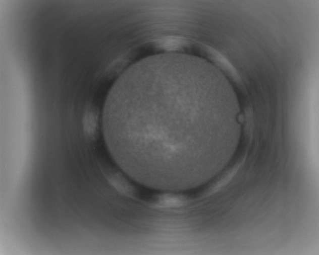 X0000113630073200909251229