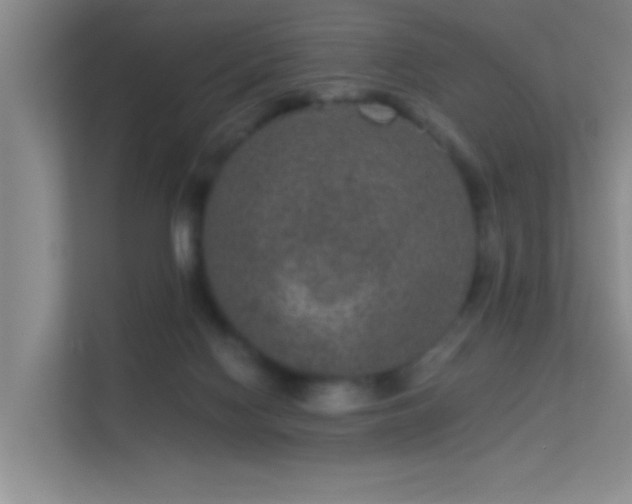 X0000113630074200909251229