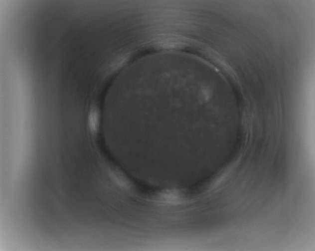 X0000113630076200909251229