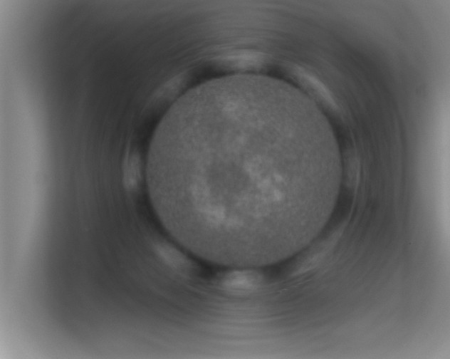 X0000113630077200909251229