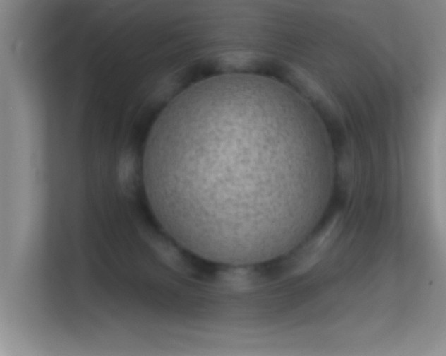 X0000113630079200909251229