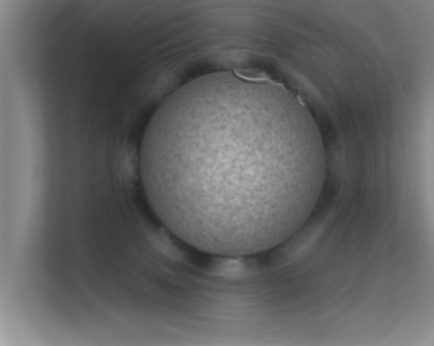 X0000113630083200909251229